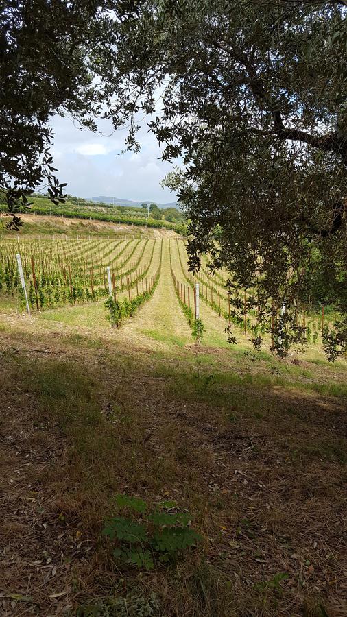 B&B Corte Galo Tregnago Luaran gambar